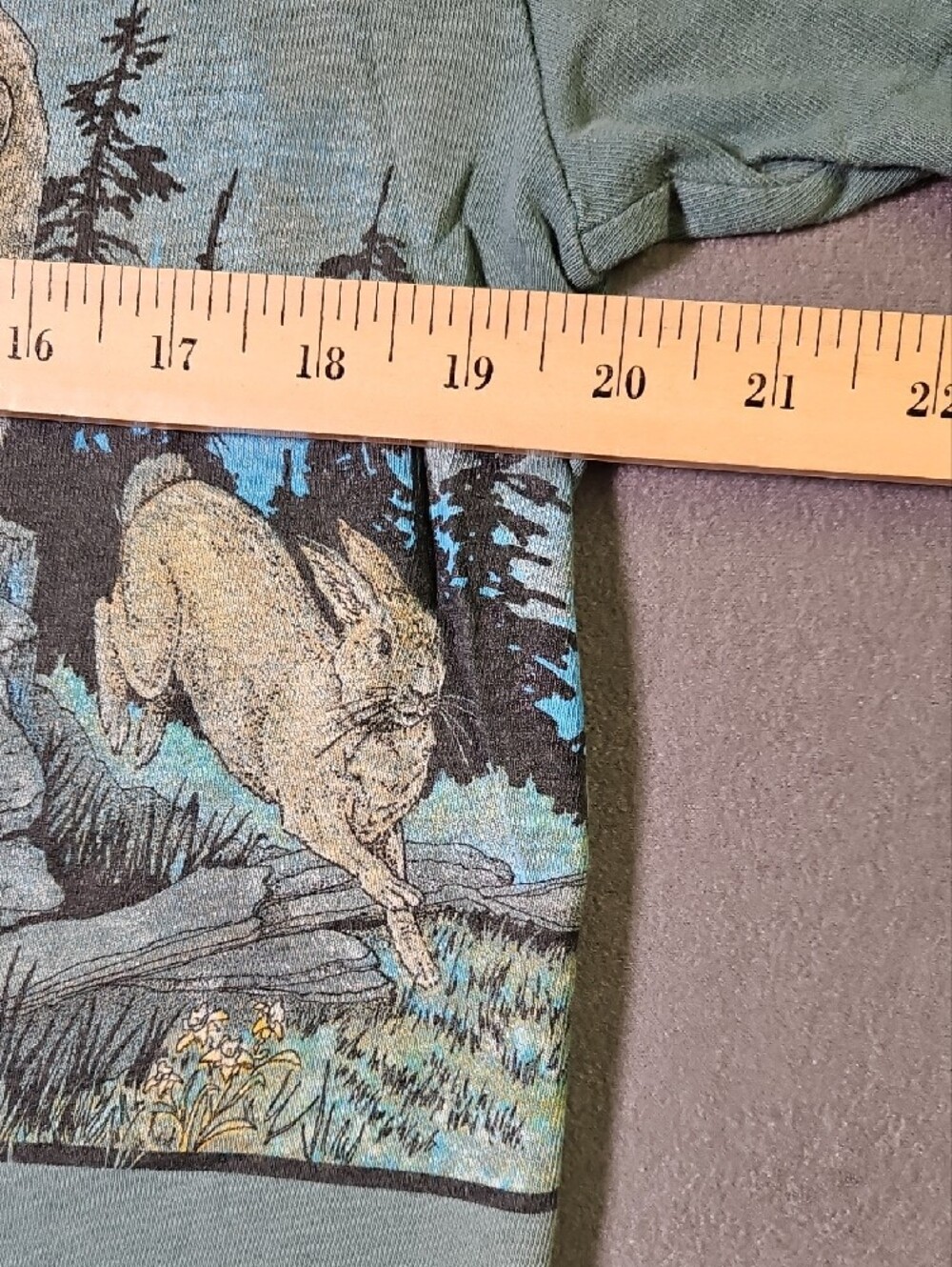 Vintage 1990s Lassen Volcanic National Park Wildlife Graphic Tee Single Stitch - Picture 7 of 11